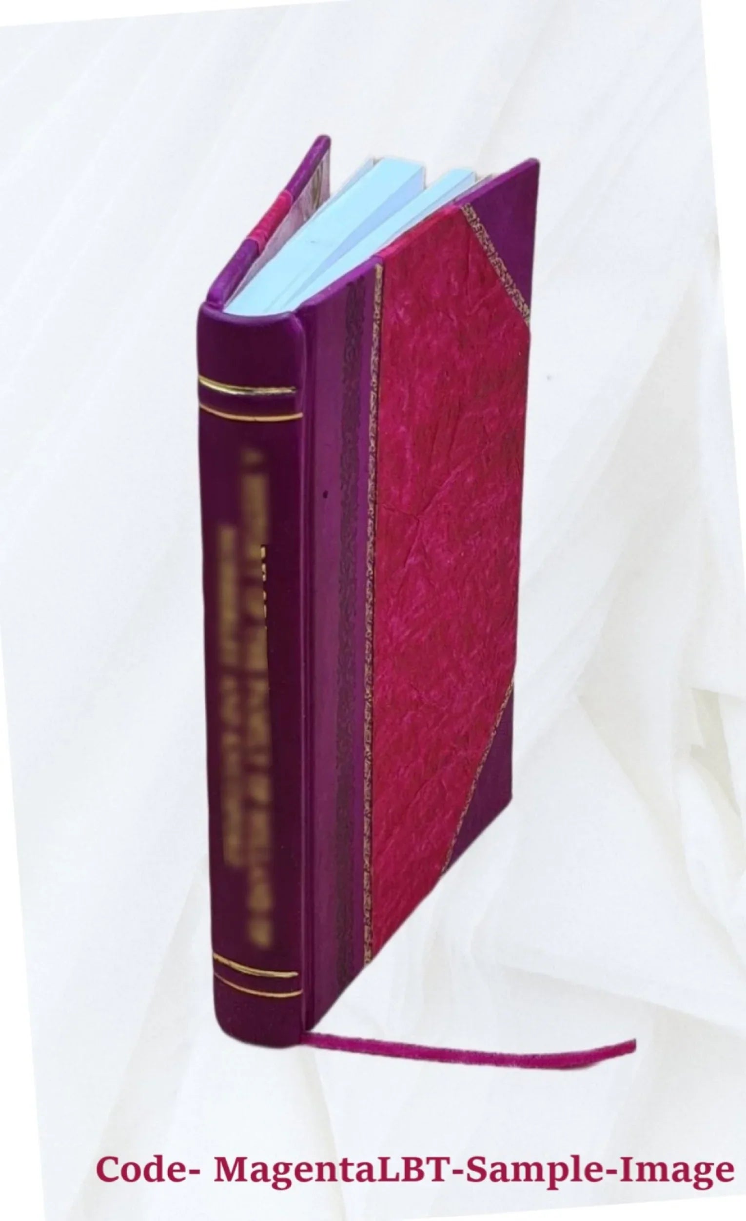 The Timon of Lucian; Fritzsche's text, with notes and vocabulary by J.B. Sizeewall ... 1896 [Leather Bound]