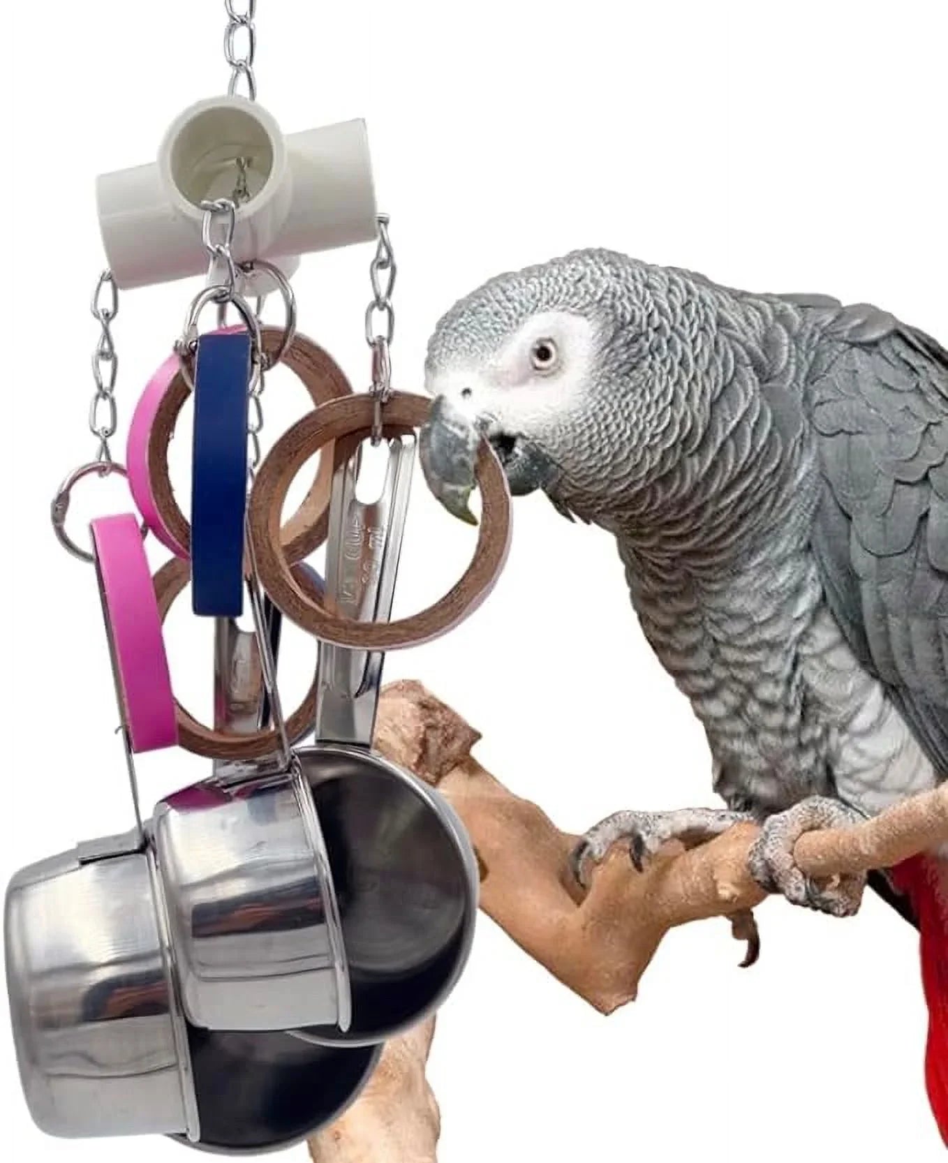 GILYGI Durable Bird Parrots Pots and Bagel Toys, Pullable Sizetainless Sizeteel Cup and Cardboard Ring Toys for Amazons Mini Macaws African Greys Cockatoos Eclectus