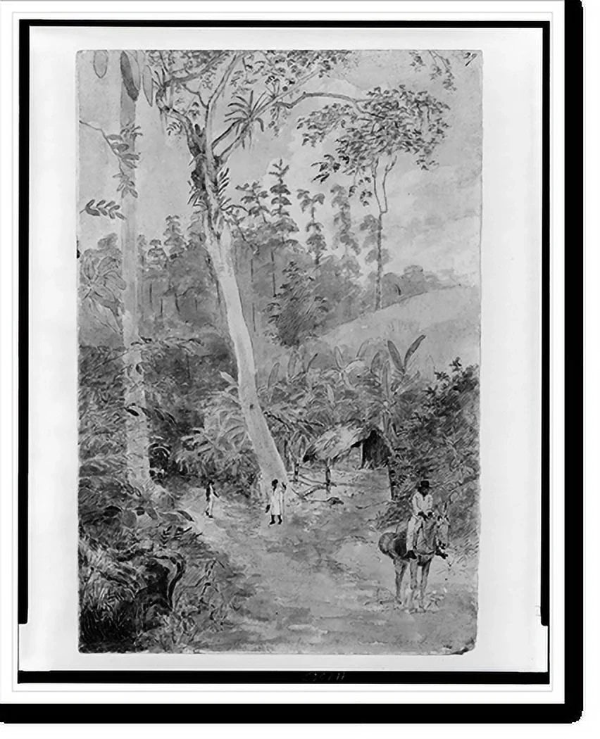 Historic Framed Print, Plantain Walk - Bookkeeper - Watchman and Hut - man with casks of water.greattoe in stirrup, 17-7/8" x 21-7/8"