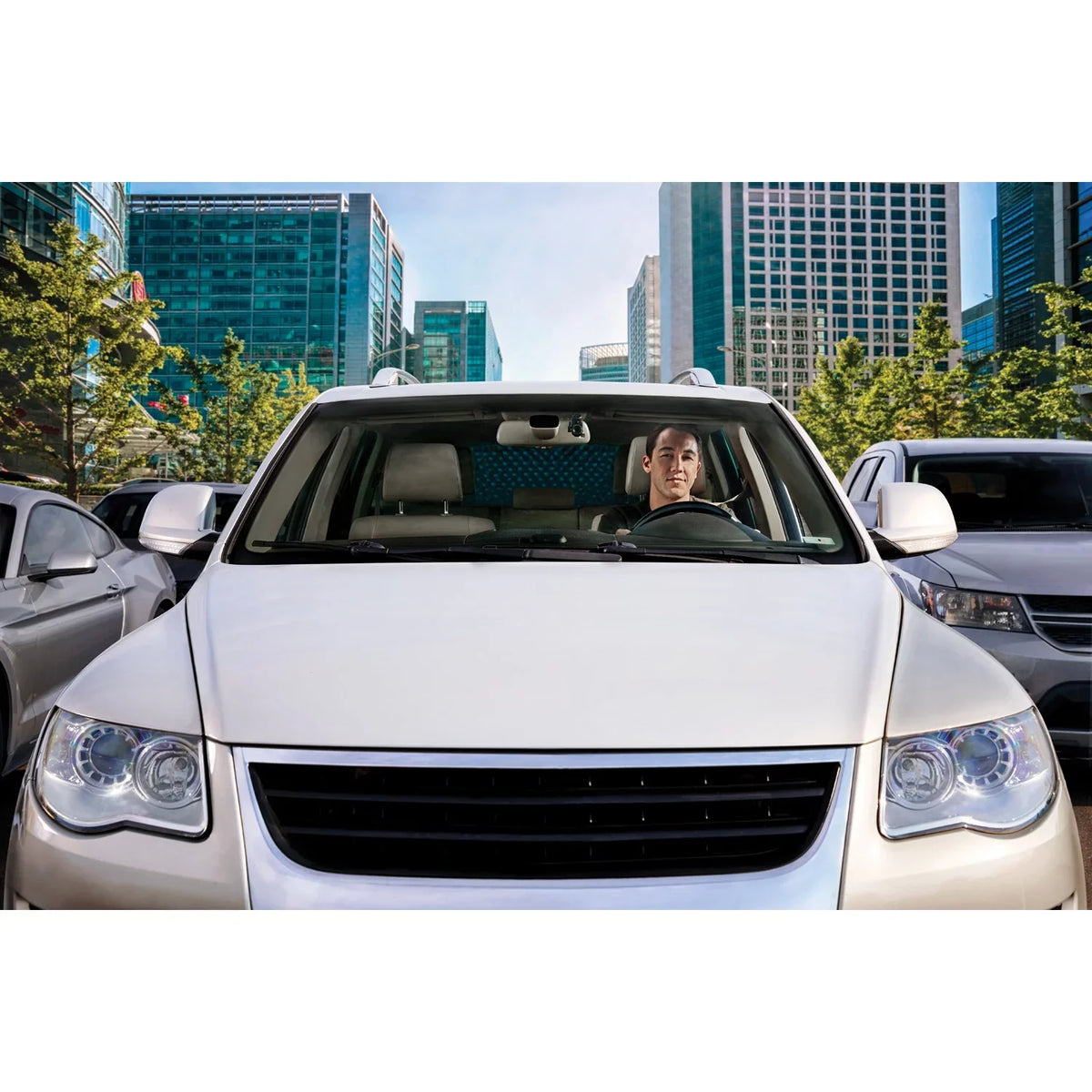 Garmin Dash Cam™ Mini
