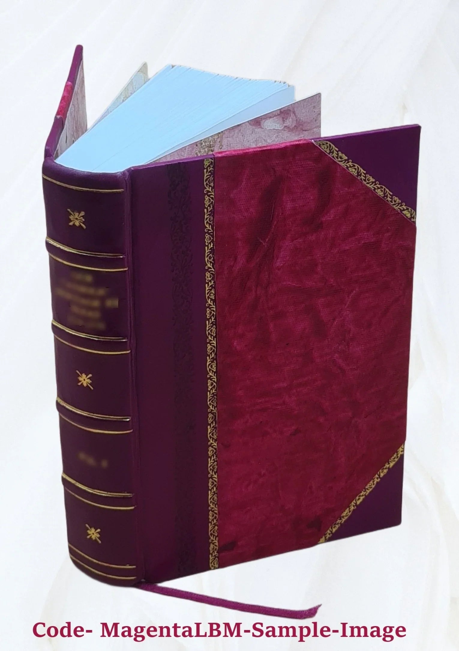 Gun and camera in southern Africa; a year of wanderings in Bechuanaland, the Kalahari Desert, and the Lake River country, Ngamiland, 1893 [Leather Bound]