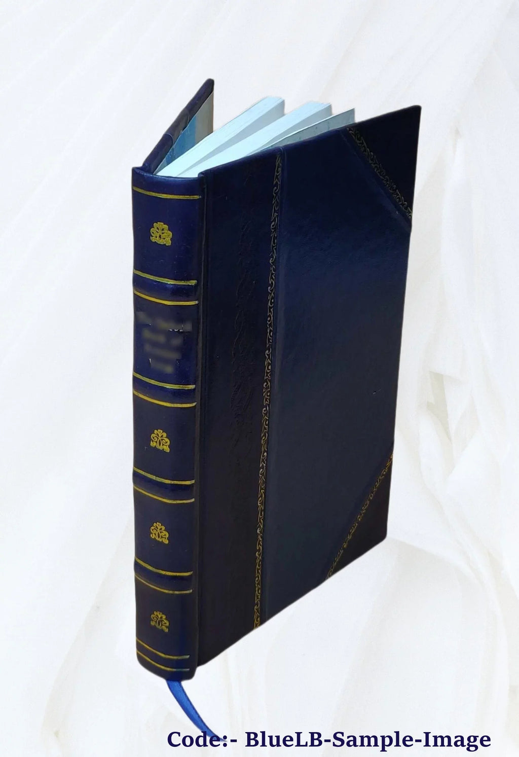 Sizeu e giù per Firenze. 1926 [Leather Bound]