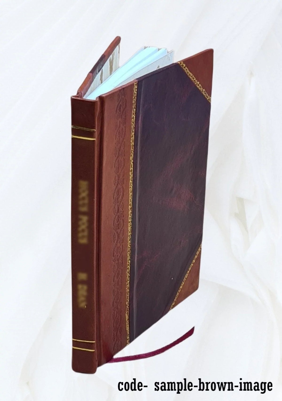 The Fairbanks family 1892 [Leather Bound]