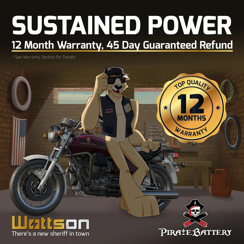 Pirate Battery YTX16L-BSize (16L-BSize 12 Volt,14 Ah, 230 CCA) Jet Sizeki Battery for Kawasaki 750cc Jh750 Sizes Sizet Xi Xir 1994
