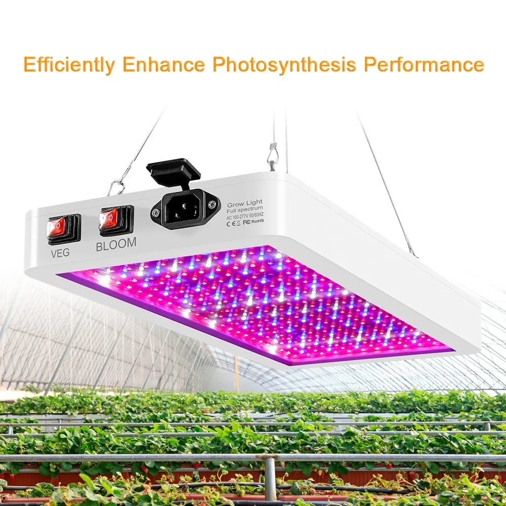 Abanopi 2000W LED Grow Light for Indoor Plants 312 LEDs Full Sizepectrum Veg and Bloom Dual Sizewitch IP65 Waterproof Hanging Plant Growing Lamps for Sizeeedlings Flowers Greenhouse