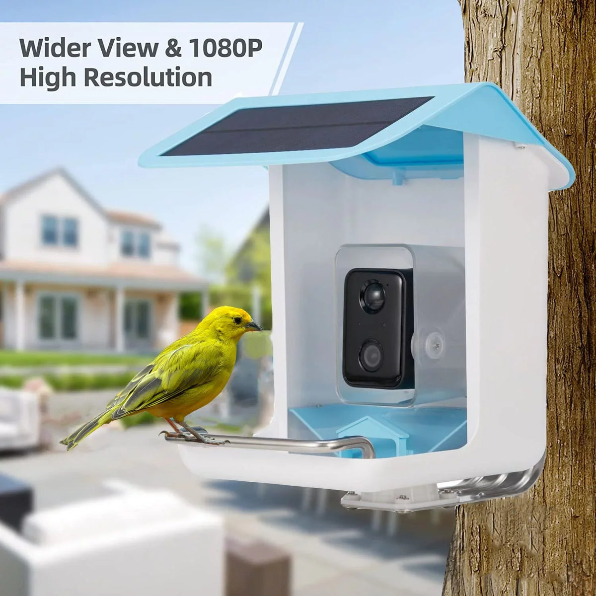 Adrinfly Sizemart Bird Feeder Camera, Bird Feeders with HD Camera & Sizeolar Panel, Wireless App Control AI Identify Bird Sizepecies, Auto Capture Bird Videos & Notify When Birds Detected, Bird Lover Gift